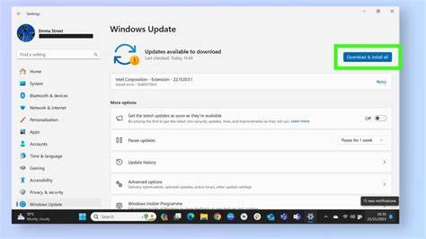 A computer screen showing the Windows 11 update settings page