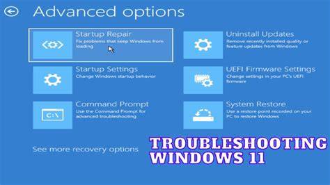 A Windows 11 settings screen showing troubleshooting options.